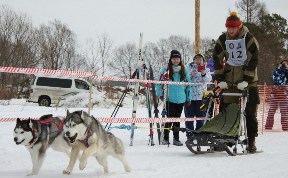 Завершается прием заявок на участие в соревнованиях по ездовому спорту в Южно-Сахалинске 