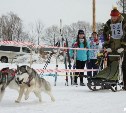 Завершается прием заявок на участие в соревнованиях по ездовому спорту в Южно-Сахалинске 