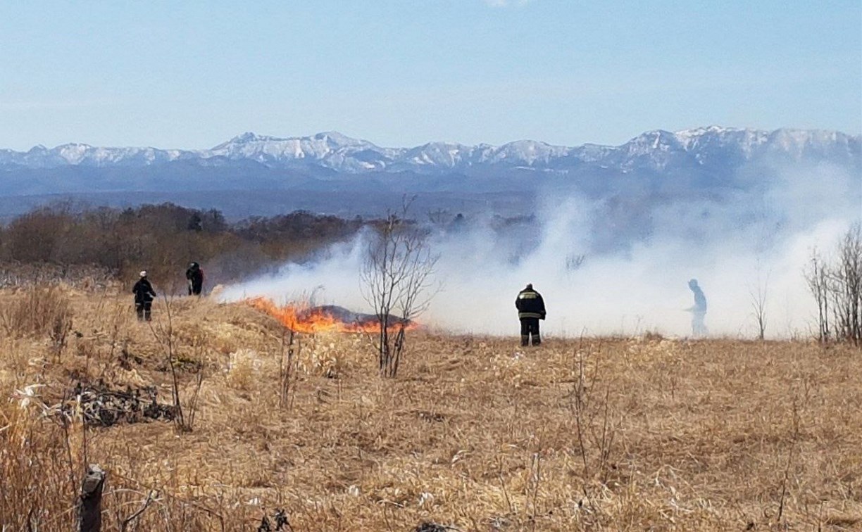 За сутки на Сахалине потушили пять возгораний сухой травы