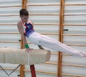 На Сахалине определили сильнейших в спортивной гимнастике