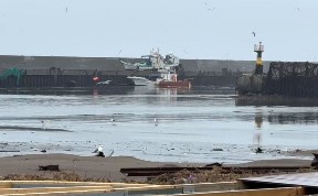 Общество