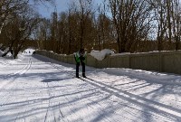 Лыжники из Южно-Сахалинска лидируют в турнире "Юный динамовец", Фото: 16