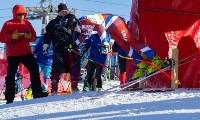 Чемпионаты по горнолыжному спорту и сноуборду среди параспортсменов , Фото: 4