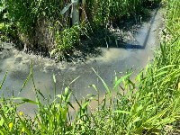 Сточные воды топят дальневосточный гектар, Фото: 4