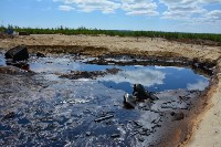 "Эковахта Сахалина" добилась ликвидации нефтяной свалки в Ногликском районе, Фото: 9
