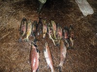 Браконьеров с кетой и кижучем задержали в Охинском районе, Фото: 5