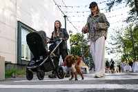 "Городская симфония" продолжается в Южно-Сахалинске, Фото: 7