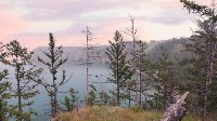 "Медведи ходят вокруг нефтяной вышки": сахалинец рассказал, что на западе России думают об острове, Фото: 16