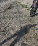 Десять сетей изъяли у сахалинских браконьеров за неделю, Фото: 1
