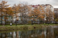 Городской парк Южно-Сахалинска начал подготовку к зимнему сезону, Фото: 4