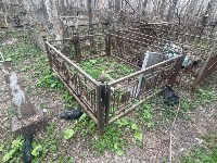 "Их тут несколько сотен": мёртвые вороны пугают южносахалинцев на кладбище, Фото: 8