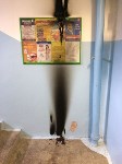 Неизвестные устроили пожар в одном из подъездов в Южно-Сахалинске, Фото: 2