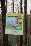Защиту домов от лесных пожаров отрабатывали сахалинскеие спасатели , Фото: 12