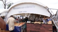 Во Владивостоке проходит фестиваль "Улицы Дальнего Востока", Фото: 6