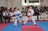 Три сотни юных каратистов сразились за медали турнира в Южно-Сахалинске, Фото: 11