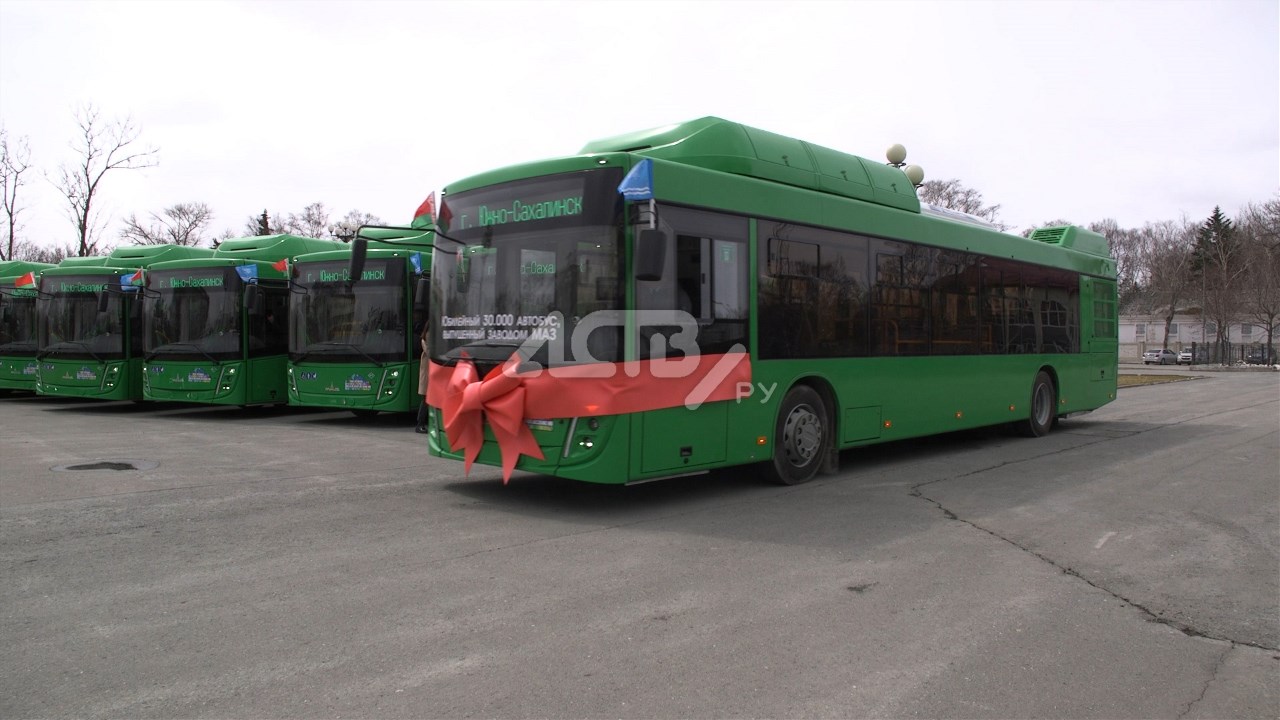 Первая партия новых зелёных автобусов прибыла в Южно-Сахалинск - Новости  Сахалинской области – Фотогалерея, фото 1 - ASTV.ru