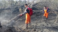 В Корсаковском районе горит трава, Фото: 14