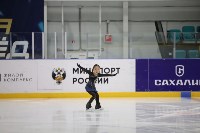 Соревнования по фигурному катанию, Фото: 9