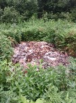 Неизвестные на спецтехнике свозят отходы в сахалинское село "по распоряжению начальника", Фото: 3