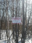 Охрану краснокнижных оленей усилили на севере Сахалина, Фото: 5