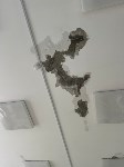 Некуда водить детей: крыша школы-детсада в Кировском протекла, Фото: 4