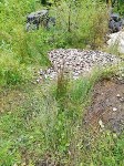 Житель Долинска обнаружил свалку рыбьих голов в городе, Фото: 5
