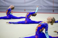 Турнир по эстетической гимнастике прошел на Сахалине, Фото: 12