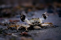 Фото Романа Васильева, Фото: 7
