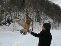 Фонд "Зелёный Сахалин" реализовал грантовый проект, Фото: 2