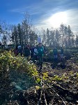 Около сотни сахалинцев присоединились к акции "Сохраним лес", Фото: 9