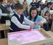 Школьники Новоалександровска теперь могут учиться с помощью песка, Фото: 6