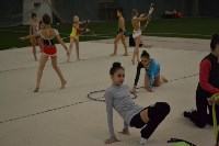 художественная гимнастика, Фото: 15