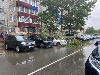Дерево рухнуло на три автомобиля в Южно-Сахалинске, Фото: 5