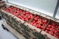 Сахалинская область в 2018 году поставила рекорд по сбору урожая картофеля , Фото: 2
