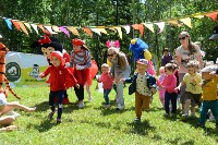 Семейный фестиваль прошел в Южно-Сахалинске, Фото: 11
