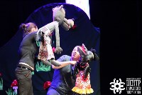 На VII Областном фестивале театров кукол было представлено 11 конкурсных спектаклей, Фото: 15