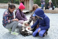 На «дальневосточном гектаре» в Корсакове детей учат дружить с собаками, Фото: 3
