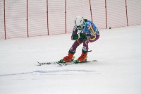 Борьба за кубки области и федерации горнолыжного спорта и сноуборда , Фото: 6