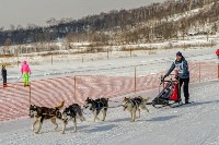 В гонках на собачьих упряжках приняли участие 22 команды со всего Сахалина, Фото: 5