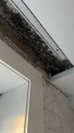 Пятиэтажку в Корсакове заливает третий год, Фото: 2