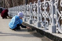 Субботник в городском парке Южно-Сахалинска, Фото: 12