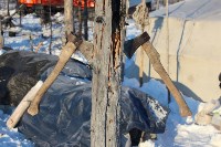 Якутские олени обживаются на севере Сахалина: фоторепортаж из Ногликского района, Фото: 78