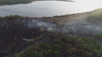 Из-за любителей шашлыка в Корсаковском районе вспыхнул лес, Фото: 3