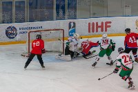 Кубок губернатора по хоккею (взрослые), Фото: 8
