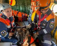 Кинологи со служебными собаками десантировались с вертолёта Ми-8 на Сахалине, Фото: 12