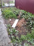 Окна вылетели: в квартире в Ново-Александровске взорвался газовый баллон , Фото: 9