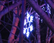 Главная новогодняя елка зажглась, Фото: 19