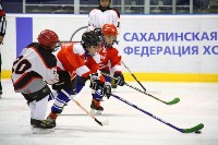 Южно-сахалинские команды выиграли «Золотую Шайбу» во всех возрастных группах, Фото: 1