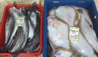 Почти 450 тонн свежевыловленной рыбы по сниженным ценам продали сахалинцам и курильчанам в 2022 году, Фото: 8