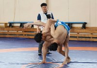 На Сахалине хотят провести чемпионат по ссирым с участием корейских борцов, Фото: 1